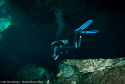 BD-101210-Cenotes-3014-Homo-sapiens.-Linnaeus.-1758-[Diver].jpg